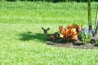 27064 SW Viterbo Way, Port Saint Lucie, FL 34986 - Photo 28