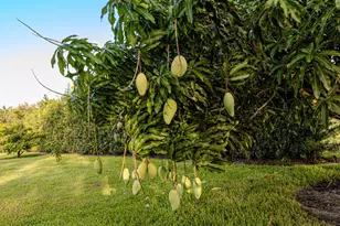 875 NW 120th Ave, Plantation, FL 33325 - Photo 94