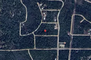 Tbd Sandpoint St, Alford, FL 32420 - Photo 1