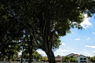 6595 Parkview Dr, Boca Raton, FL 33433 - Photo 26