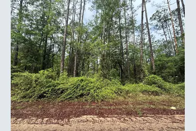 Tbd Seminole Avenue, Interlachen, FL 32148 - Photo 2