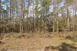 Tbd Seminole Ave, Interlachen, FL 32148 - Photo 1