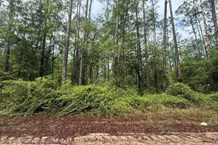 Tbd Seminole Ave, Interlachen, FL 32148 - Photo 1