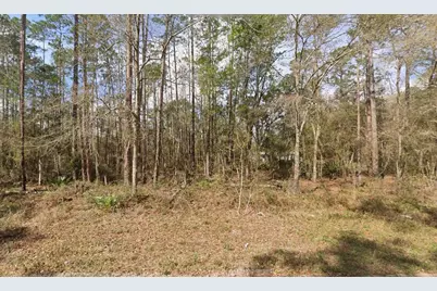 Tbd Seminole Avenue, Interlachen, FL 32148 - Photo 6