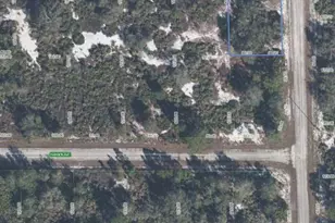 100 Tryon Ave NW, Lake Placid, FL 33852 - Photo 1