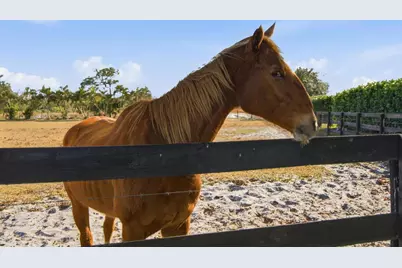 13850 SW Allapattah Road, Indiantown, FL 34956 - Photo 84