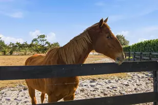 13850 SW Allapattah Rd, Indiantown, FL 34956 - Photo 84