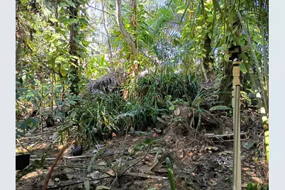 16038 Robin Way, Jupiter, FL 33478 - Photo 24