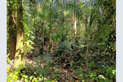 16038 Robin Way, Jupiter, FL 33478 - Photo 28