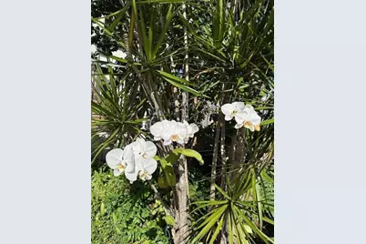 1405 Bridgewood Drive #1405, Boca Raton, FL 33434 - Photo 4