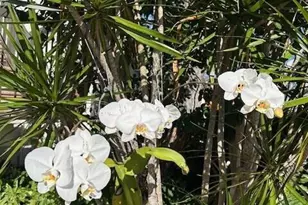 1405 Bridgewood Dr, Boca Raton, FL 33434 - Photo 4