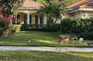 8557 SE Retreat Dr, Hobe Sound, FL 33455 - Photo 30