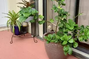 2116 21st Ln Ln, Greenacres, FL 33463 - Photo 8