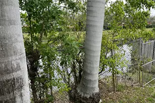 7445 N Augusta Dr, Hialeah, FL 33015 - Photo 16