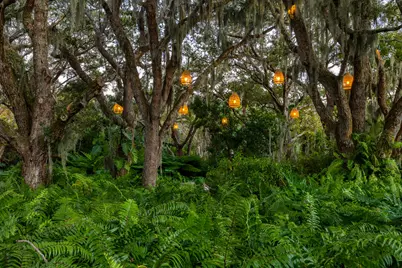 109 S River Road, Sewalls Point, FL 34996 - Photo 86