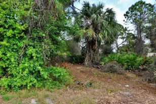 Tbd Trilby Ave, North Port, FL 34286 - Photo 1