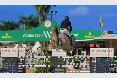 16219 Hollow Tree Lane, Wellington, FL 33470 - Photo 60