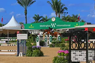 16219 Hollow Tree Ln, Wellington, FL 33470 - Photo 62