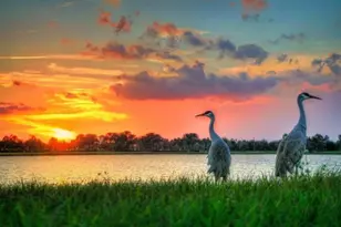 1890 SE Interlachen Dr, Port Saint Lucie, FL 34952 - Photo 42