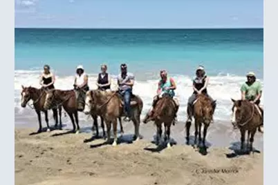 738 SW Ravenswood Lane, Port Saint Lucie, FL 34983 - Photo 38