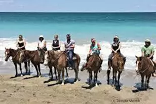 738 SW Ravenswood Ln, Port Saint Lucie, FL 34983 - Photo 38