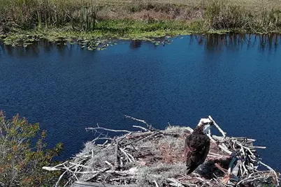 37 Shell Road, Okeechobee, FL 34974 - Photo 34