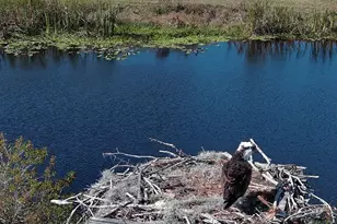 37 Shell Rd, Okeechobee, FL 34974 - Photo 34