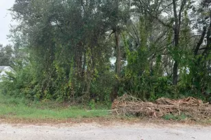 531 Sargent St, Lehigh Acres, FL 33972 - Photo 2