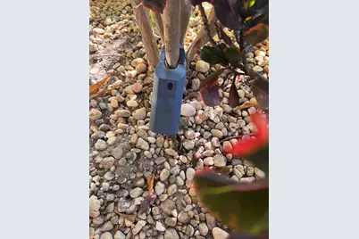 22615 SW 66th Avenue #415, Boca Raton, FL 33428 - Photo 24