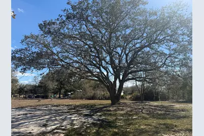 18990 NW 284th Street, Okeechobee, FL 34972 - Photo 4