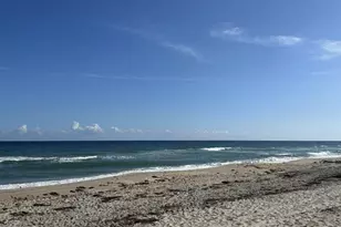 49 Douglas Dr, Ocean Ridge, FL 33435 - Photo 62