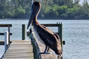 2515 N Indian River Dr, Fort Pierce, FL 34946 - Photo 86