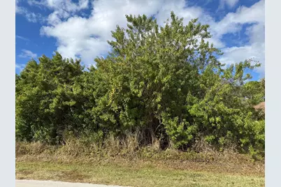 163 NE Twylite Terrace, Port Saint Lucie, FL 34983 - Photo 2