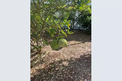 2302 Sunrise Boulevard #3-201, Fort Pierce, FL 34982 - Photo 2