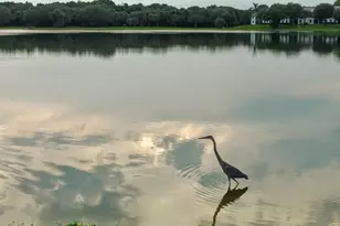 3130 Millwood Terrace, Boca Raton, FL 33431 - Photo 30