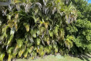 5951 Parkwalk Dr, Boynton Beach, FL 33472 - Photo 6