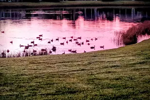 193 NW Bentley Cir, Port Saint Lucie, FL 34986 - Photo 24