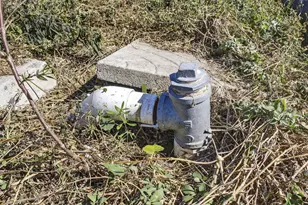 16296 Deer Path Ln, Wellington, FL 33470 - Photo 12