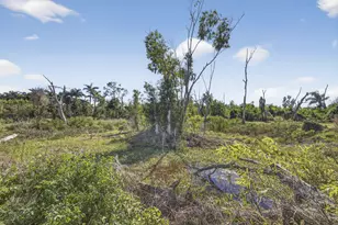 16296 Deer Path Ln, Wellington, FL 33470 - Photo 14