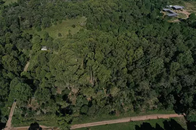 33373 Punta Del Diablo, Almont, CO  - Photo 14