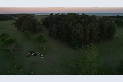 33373 Punta Del Diablo, Almont, CO  - Photo 48