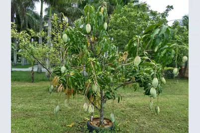 4001 Avocado Boulevard, West Palm Beach, FL 33411 - Photo 58