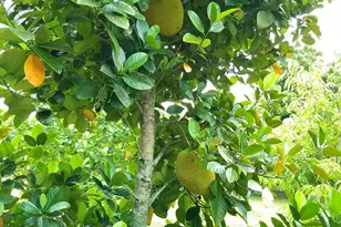 4001 Avocado Blvd, West Palm Beach, FL 33411 - Photo 56