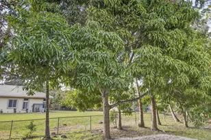 16107 86th St N, Loxahatchee, FL 33470 - Photo 88