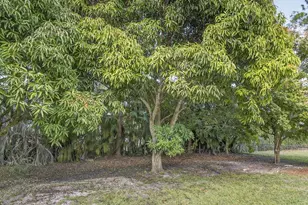 16107 86th St N, Loxahatchee, FL 33470 - Photo 90