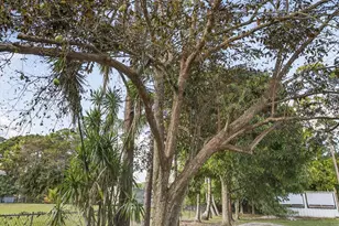 16107 86th St N, Loxahatchee, FL 33470 - Photo 98