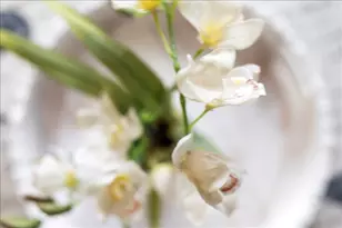 1605 S US Hwy 1, Jupiter, FL 33477 - Photo 20