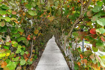 100 Bravado Lane #2, Palm Beach Shores, FL 33404 - Photo 20