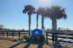 10124 SW Hemingway Ter, Palm City, FL 34990 - Photo 10