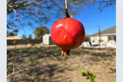 4299 SW McCrory Street, Port Saint Lucie, FL 34953 - Photo 38